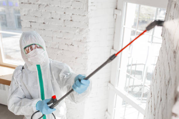 Best Post-Remediation Verification Testing  in Parsons, WV