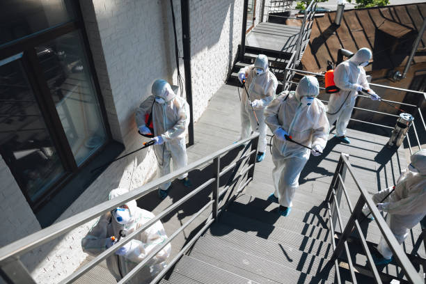 Best HVAC Mold Inspection and Cleaning  in Parsons, WV