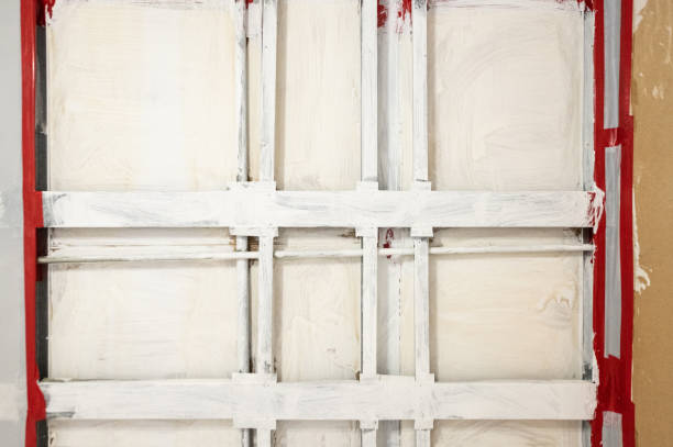Best Basement Mold Removal  in Parsons, WV