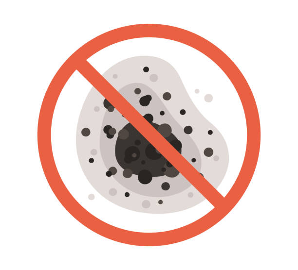 Best Mold-Related Health Consultation  in Parsons, WV