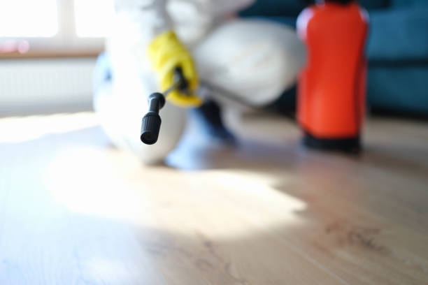 Best Mold Documentation for Insurance Claims  in Parsons, WV