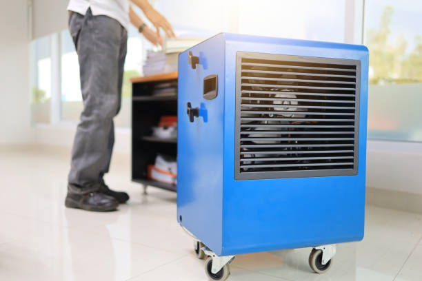 Best Forensic Mold Investigation  in Parsons, WV